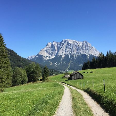 Hotel Alpin Ehrwald Kültér fotó