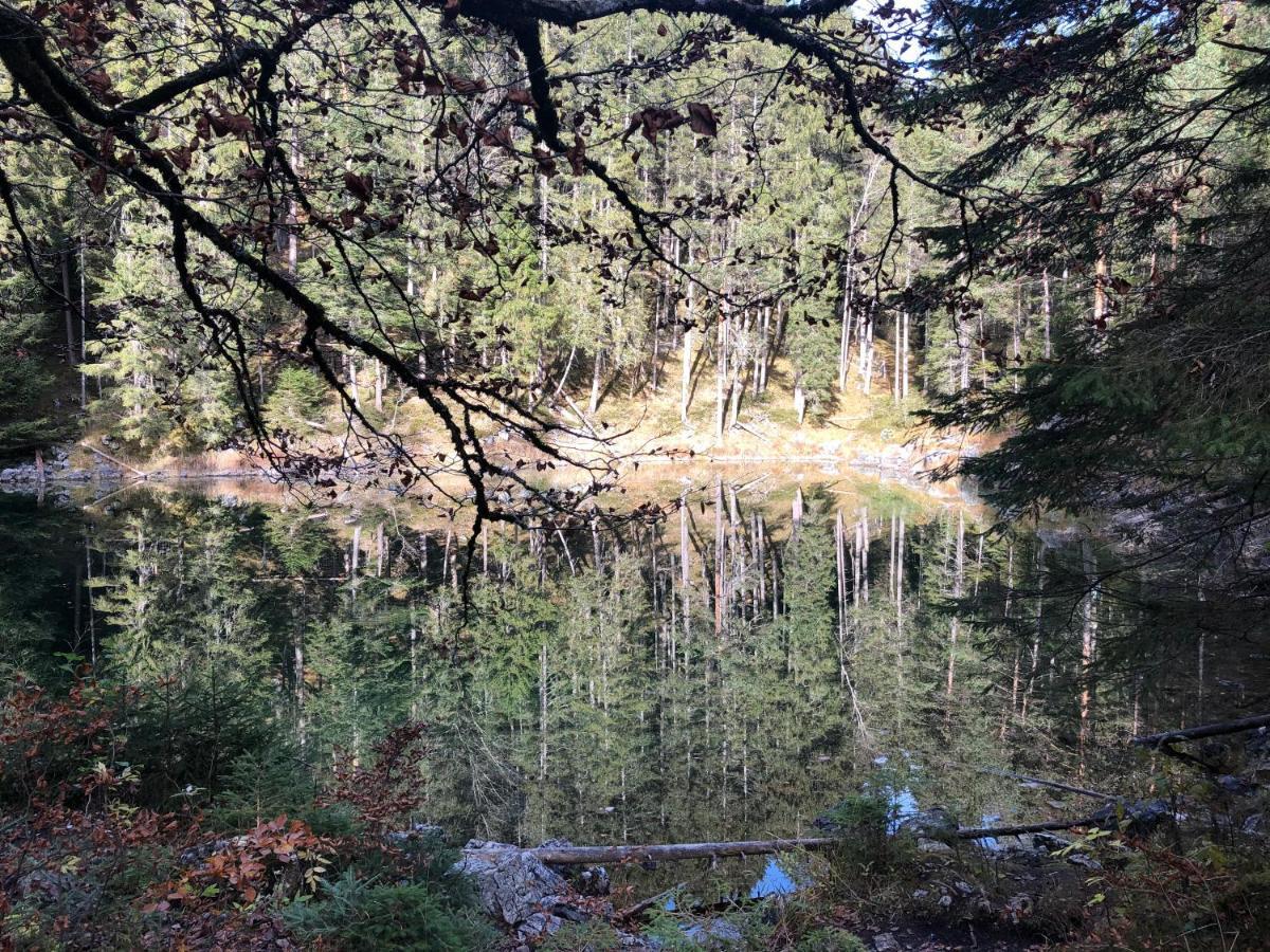 Hotel Alpin Ehrwald Kültér fotó