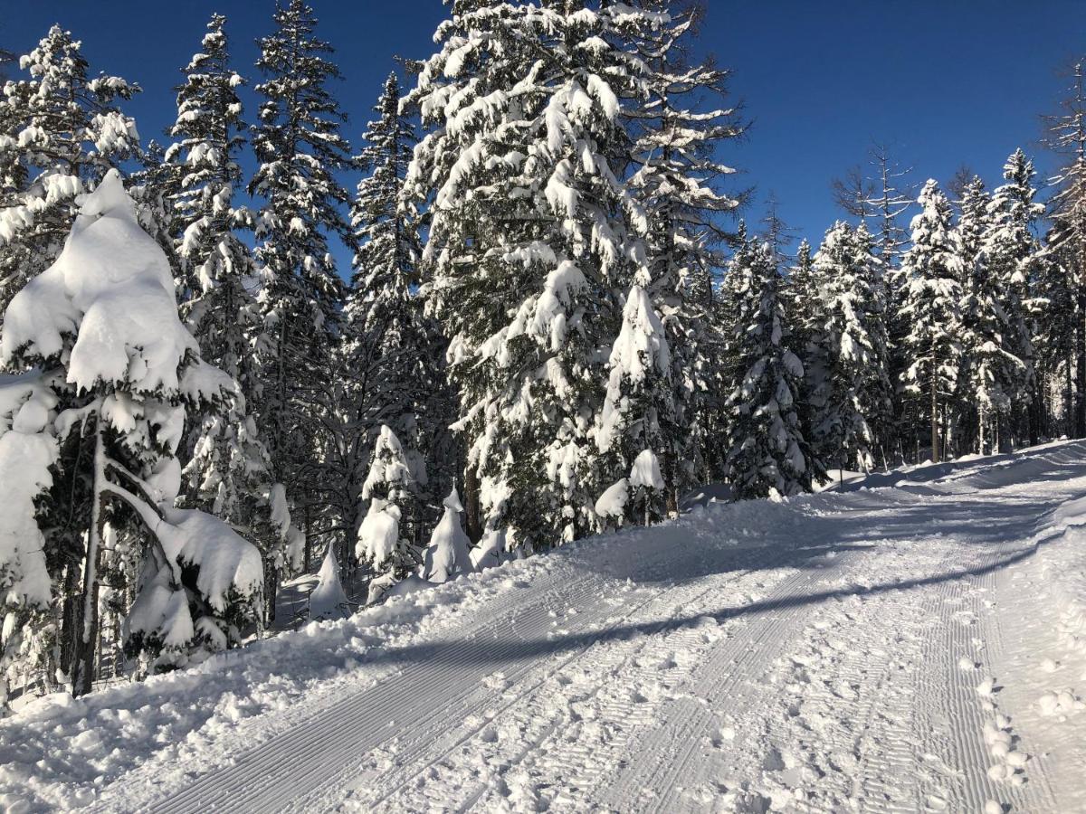 Hotel Alpin Ehrwald Kültér fotó