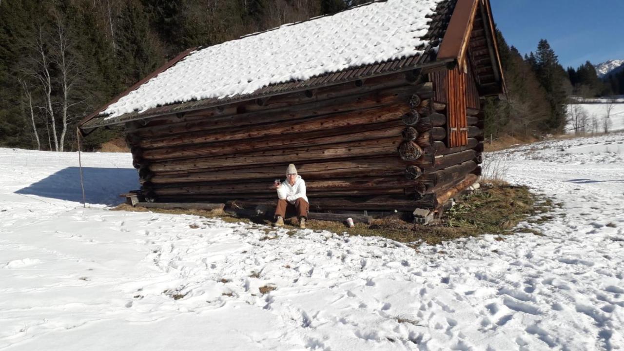 Hotel Alpin Ehrwald Kültér fotó