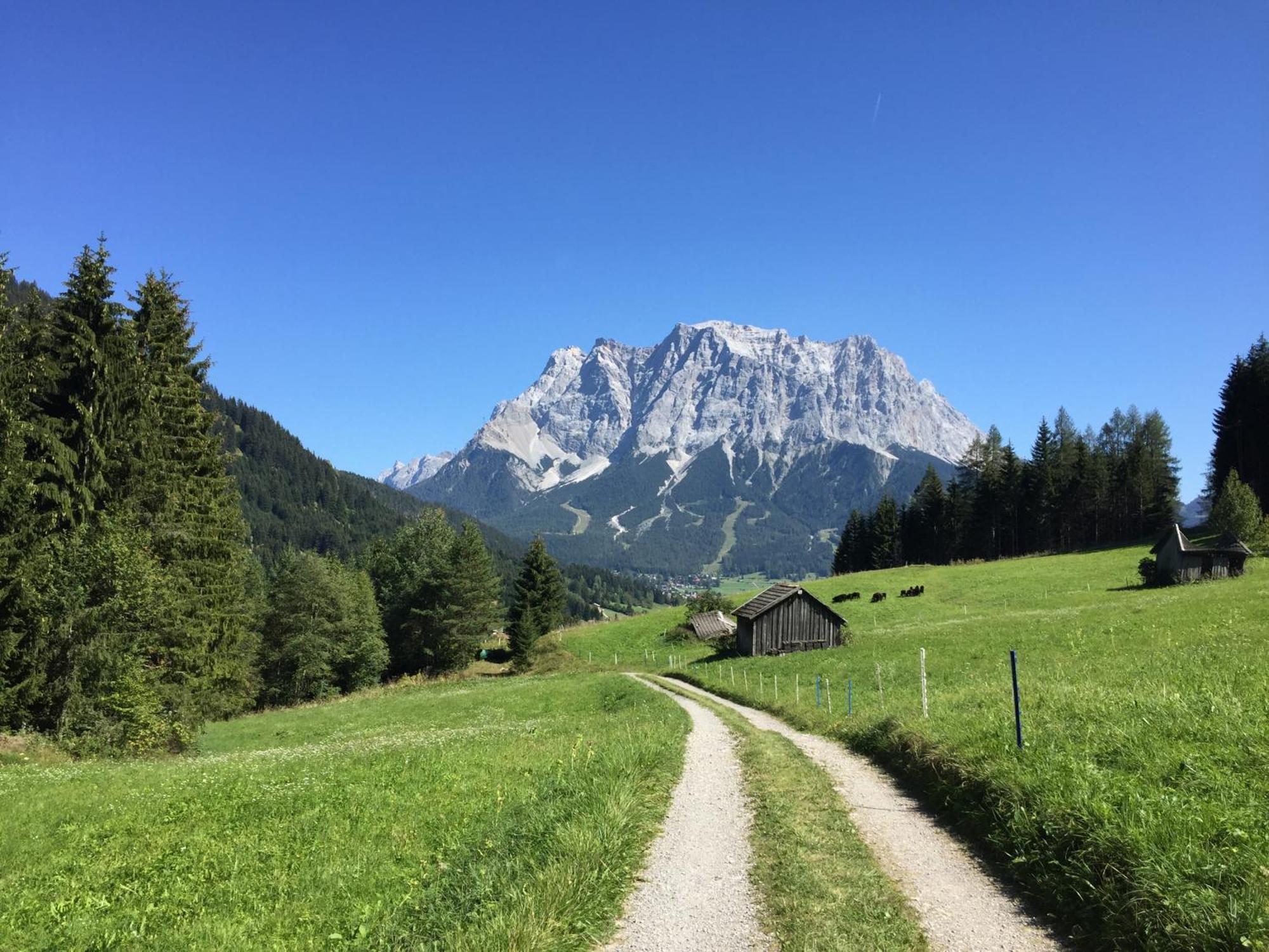 Hotel Alpin Ehrwald Kültér fotó