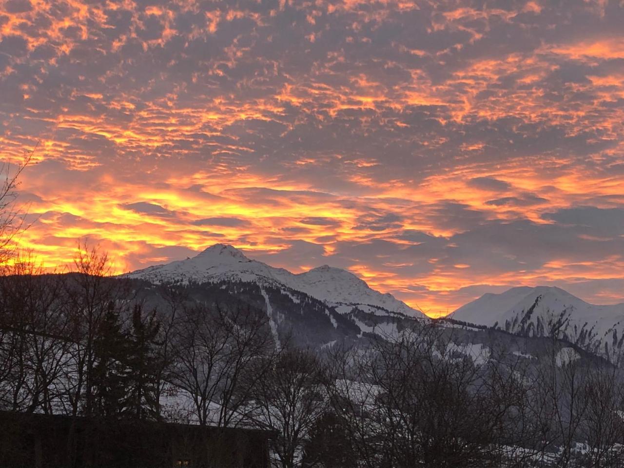 Hotel Alpin Ehrwald Kültér fotó